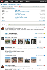 bebo.com'dan örnek bir kullanıcı sayfası