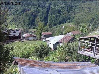 camili köyü