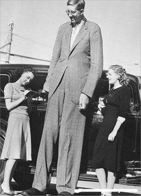 Robert Pershing Wadlow (22 Şubat, 1918 - 15 Temmuz, 1940) Tıp Tarihinde Bilinen En Uzun Boylu Adam