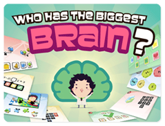 Who has the biggest brain?
