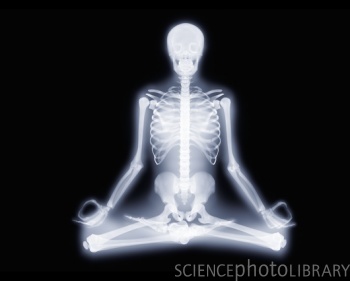 x-ray yoga pozisyonu 