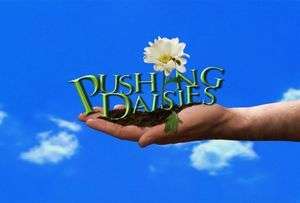 pushing daisies