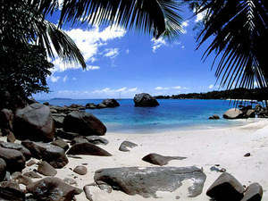 paradise plajı / karayip adaları