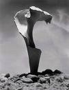 Andreas Feininger,fotoğraf sanatçısı...