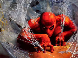 the web of spiderman