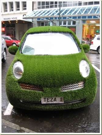 Green Grass Car