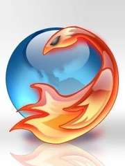 Firefox 3b3