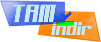 Tamindir Logo