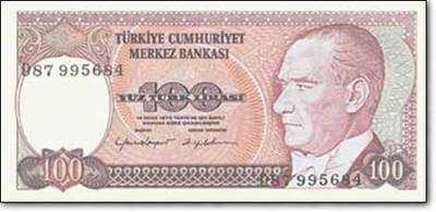 100türk lirası