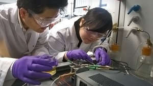 Dr Shanwen Tao ve  Dr Rong Lan