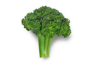 Brokoli bitkisi
