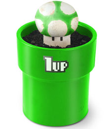 Grow your own 1up mushrooms