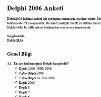 Borland'ın Delphi için yazırladığı Türkçe anket