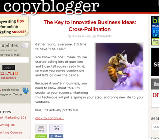 copyblogger.com