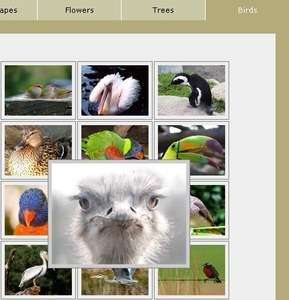 cross browser multi-page photograph gallery