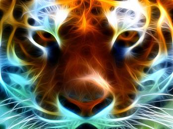 fractal tiger