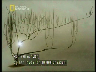M9'un soy ağacındaki yeri