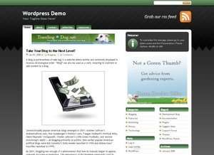 StudioPress Green WordPress Theme 