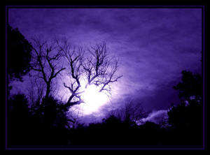 Purple Rain by biogirl_p53